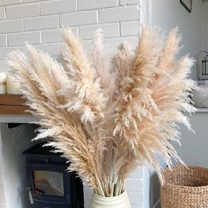 Style européen américain décoration <span class=keywords><strong>de</strong></span> la maison Xiyin naturel sec grande pampa herbe <span class=keywords><strong>fleurs</strong></span> <span class=keywords><strong>séchées</strong></span> grande <span class=keywords><strong>couronne</strong></span> <span class=keywords><strong>pour</strong></span> mariage transfrontalier - Product Image 6