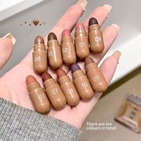 Ensemble de 10 mini rouges à lèvres en capsule, fini mat velours, longue tenue, imperméable, anti-transfert, haute pigmentation, rouge à lèvres liquide brun