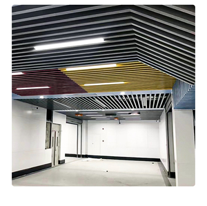 תקרת רשת מלבנית מאלומיניום עמיד אש, מודרנית, אמנותית, בצבע בהתאמה אישית, עמידה בפני לחות, לשימוש משרדי - Product Image 1