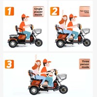 Tricycle électrique familial à 3 roues, 3 places, 60V 1000W, scooter de mobilité à carrosserie ouverte, fauteuil double pour 2 personnes âgées, 30-50 km/h, 30 km d'autonomie