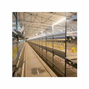 กรงเลี้ยงไก่เนื้อแบบหลายชั้น ประหยัดพื้นที่ รุ่น H สำหรับฟาร์มขนาดเล็ก ประสิทธิภาพสูง อายุการใช้งาน 5 ปี - Product Image 1