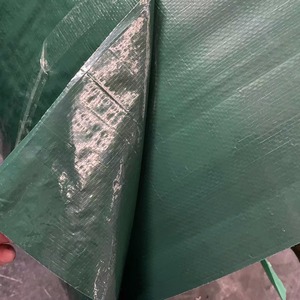 Wolf Double Sided Dark Green Tarp Plastic Sheet Waterproof Sunscreen Antiaging 100x150cm Outdoor Cover - Product Image 1