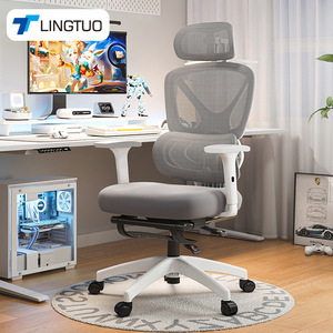 LingTuo Ergonomic Office Chair With Lumbar Support 4D Armrest Reclining Function For Home Office Gaming Use - Product Image 1