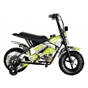 MAXSPEED 250DH PRO Pit Bike, moteur à balais 500W, batterie au plomb-acide 36V 12Ah, mini, vitesse 40km/h, moteur 500W/800W/1000W à balais - Product Image 3