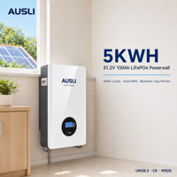 Batterie solaire LiFePO4 5kWh 5.12kWh 51.2V 100Ah, onduleur hybride 48V, système de stockage d'énergie domestique CAN Split, alimentation de secours hors réseau ESS