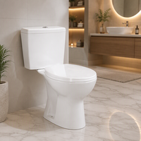 WC en céramique à double chasse et nettoyage facile, design moderne, pour salles de bain adaptées aux personnes à mobilité réduite, toilettes deux pièces pour hôtels et restaurants