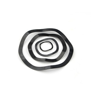 Chất lượng cao bằng thép không gỉ sóng máy giặt đa sóng mùa xuân máy giặt M4-M20 - Product Image 3