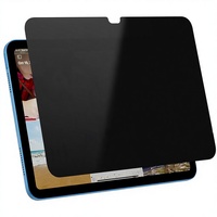 Pelindung Layar Kaca Tempered 9Hardness2.5D Edge Privacy untuk iPad Generasi ke-10/ke-11 2022/2025 10.9/11" A16