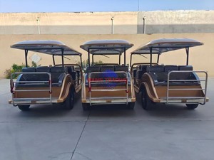 CE PROMO EXCEPTIONNEL Véhicule Électrique de Luxe Personnalisé 72V - Voiture Rétro Vintage pour Accueil VIP Hôtelier - Product Image 6