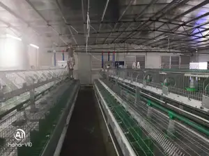 Grillage soudé de cage de lapin, couche de la Chine, usine