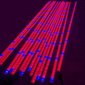 แถบไฟ <span class=keywords><strong>LED</strong></span> สำหรับปลูกพืชไฟ <span class=keywords><strong>LED</strong></span> แบบแข็งเต็มสเปกตรัมสำหรับการเจริญเติบโตของพืช - Product Image 5
