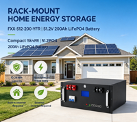 Batería LiFePO4 de 51.2V 200Ah 10.24kWh para Montaje en Rack de 19 Pulgadas, Salida Nominal de 3.84kW, 150A, BMS Integrado, 6000 Ciclos, CAN RS485 RS232 IP21