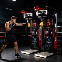 Machine de boxe électronique d'arcade à monnayeur pour intérieur, prix usine, en promotion