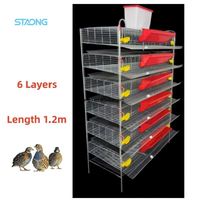 Cage à cailles en maille avec structure de type H pour une production avicole durable à grande échelle