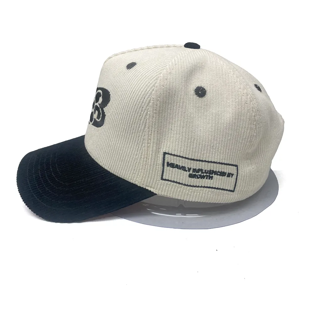 Gorra de béisbol de 5 paneles por encargo de fábrica, sombrero de PANA con logotipo bordado en 3D, banda para el sudor de algodón, gorras de invierno, sombrero deportivo