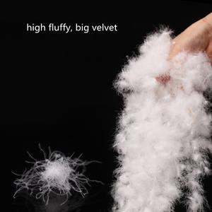 <span class=keywords><strong>Duvet</strong></span> <span class=keywords><strong>d</strong></span>'<span class=keywords><strong>oie</strong></span> blanc lavé 90, nouvelle norme nationale de vêtements, <span class=keywords><strong>duvet</strong></span> standard, matière première, <span class=keywords><strong>plume</strong></span> de remplissage <span class=keywords><strong>d</strong></span>'édredon - Product Image 5