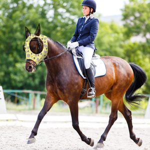 Masque anti-mouches personnalisé pour chevaux Masque élastique confortable pour chevaux avec oreilles <span class=keywords><strong>Filet</strong></span> <span class=keywords><strong>de</strong></span> protection UV Fournitures respirantes pour chevaux Couvre-visage - Product Image 3