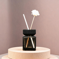Diffuseur à bâtonnets d'huile essentielle en coffret cadeau au design unique, style élégant, idéal pour chambre, salon, bureau, avec bouchon de diffuseur.