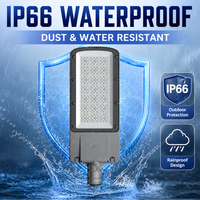 Luminaire LED de 250W pour éclairage public avec plusieurs distributions de faisceaux, IP66, pour larges allées et grandes surfaces extérieures