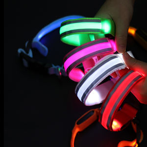 Collar para perros y gatos con luz LED recargable USB anti-Pérdida de noche brillante en stock - Product Image 4