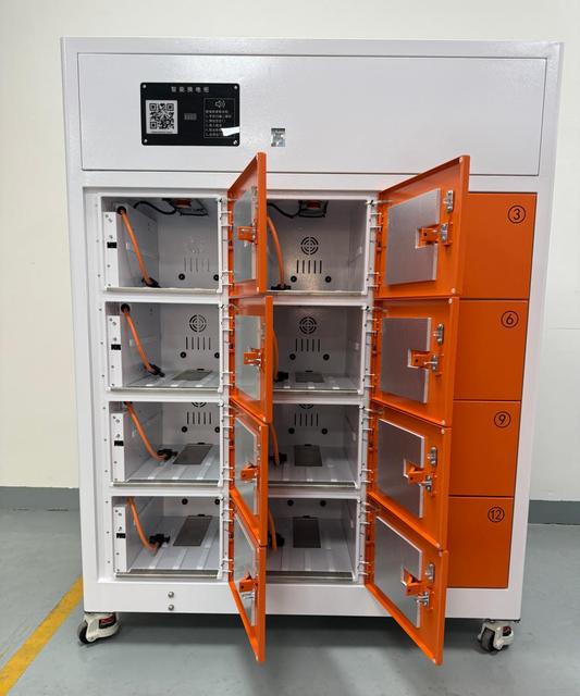Custom Public Electric Bike EV Battery Swapping Stations High Power 485 Communication Smart Battery Exchange Swap Cabinet