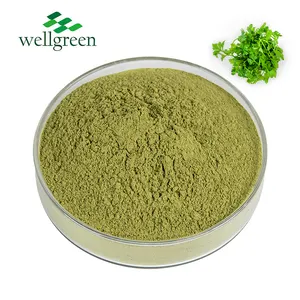 Semillas solubles en agua, extracto de hojas a granel, polvo de cilantro, calidad de exportación, fabricante de China