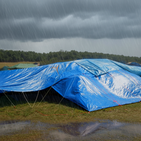Bâche en PVC robuste enduite de PE pour camping, toit de camion, tente, couverture, rouleau de bâche en plastique imperméable de l'usine YRH