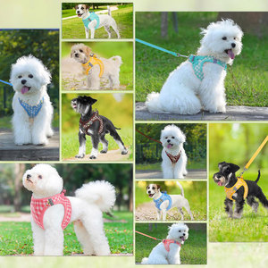 Arnés y Correa para Perros Pequeños al por Mayor, Conjunto Antitirones para Cachorros, Arnés Reflectante Ajustable Personalizado para Perros - Product Image 5