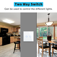 Bingoelec 500W Home Wall Switch 2-Gang 2-Way Touch Screen Glass Normal Touch Switch pour un usage domestique