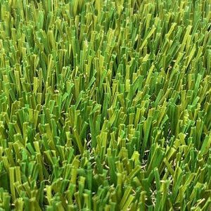 <span class=keywords><strong>Gazon</strong></span> artificiel écologique <span class=keywords><strong>en</strong></span> <span class=keywords><strong>rouleau</strong></span> pour jardin et aménagement paysager, <span class=keywords><strong>en</strong></span> PE, vente bon marché à Hebei, 20 mm, 25 mm, 30 mm, 34 mm, 35 mm, 39 mm, 40 mm, 45 mm - Product Image 5