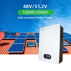 5 ans de garantie batterie au lithium-ion murale à cycle profond 48v 100ah 200ah 5kwh 10kw avec batterie Lifepo4 murale BMS