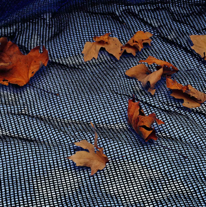 Couverture de filet anti-feuilles de piscine haute densité pour piscines enterrées/hors sol, directement de l'usine Blue Ocean Plastic Co. Limited - Product Image 1