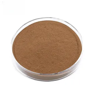 Wholesale price Black Cohosh Root Extract Black Cohosh Extract