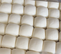 Jouet Squishy Tofu Blanc en Mousse PU à Remontée Lente, Doux, Sensoriel, Anti-Stress, Cadeau en Gros, Souvenir