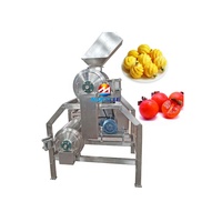 Dubbele fase fruitpulper, ontpitter en schilmachine, automatische mango-, appel- en tomatenpulper en -schiller, roestvrijstalen apparatuur