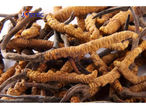 เครื่องอบแห้งแช่แข็ง5ตร. ม. สำหรับวัตถุดิบเครื่องอบแห้งแบบกับดักความเย็น55 ℃ พร้อมการตรวจสอบ GMP และการตรวจสอบความถูกต้องของ <span class=keywords><strong>iq</strong></span>/<span class=keywords><strong>oq</strong></span> - Product Image 6