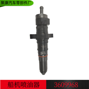 Injecteur de moteur diesel KTA38 3609968 pour remplacement de moteur de bateau - Product Image 5