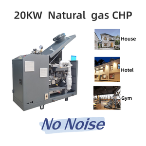 Компактный газовый генератор 20 кВт с низким уровнем шума, синхронный, ТЭЦ, 3 фазы, для дома, офиса, квартиры - Product Image 2