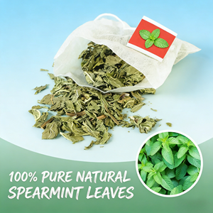 Té Verde Premium Certificado OEM con Menta Verde - 16 Bolsitas de Té (60g) Grado Alimenticio Saludable Refrescante y Estimulante para Preparación Fría/Caliente - Product Image 2