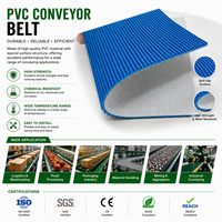 Bande transporteuse en PVC PU verte et bleue à texture antidérapante pour l'équipement de remplissage et de transport de bouteilles en verre
