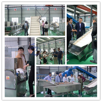 Industriële Groente Fruit Drogen Machine Gedroogde Wortel Gember Knoflook Taro Ui Chips Drogen Productielijn