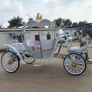 Usine vendant des carrosses citrouilles électriques blancs, nobles et exquis, pour princesses. Transport spécial. - Product Image 3