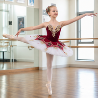 Jupe de scène TUTU classique professionnelle pour adultes jupe Tutu de ballet rouge pour filles robe tutu de ballet professionnelle pour filles