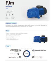 Pompe à eau à jet auto-amorçante de surface à un étage de haute qualité 1,1 kW 1,5 HP