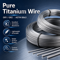 Fil de titane GR1 GR2 ASTM B863 pour soudage TIG MIG, usinage CNC, laboratoire industriel, découpe sur mesure, OEM