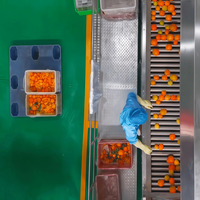 Complete NFC tropische sapverwerkingsinstallatie voor ananas, kokosnoot en lychee met turnkey-oplossing