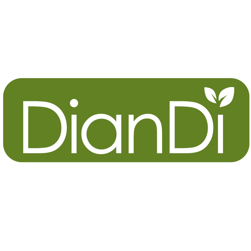 Shantou Diandi Toys Industrial Co., Ltd.