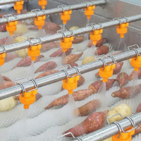 Industriële aardappelwas- en drooglijn, fruit- en zoete aardappelborstelwasinstallatie, borstelwasser voor wortelgroenten