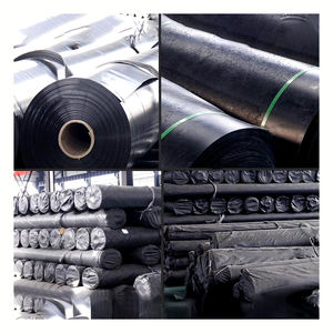 Hdpe Geomembranen Vijver Liner Plastic Geomembranen Stortplaats Voering Visvijver Liner Geomembraan Voor Aquacultuur - Product Image 2