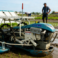 Transplanteuse de riz CNCMC TRT-6L à 6 rangs, 4 roues motrices, autopropulsée, haute clarté au sol, pour la plantation de riz en rizière - À vendre